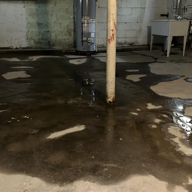 Emergency Water Extraction And Removal in Brookhaven, NY